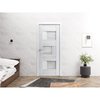 Sartodoors Slab Barn Door Panel 24 x 96in, Nordic White W/ Frosted Glass, Pocket Closet Sliding SETE6933S-NOR-2496